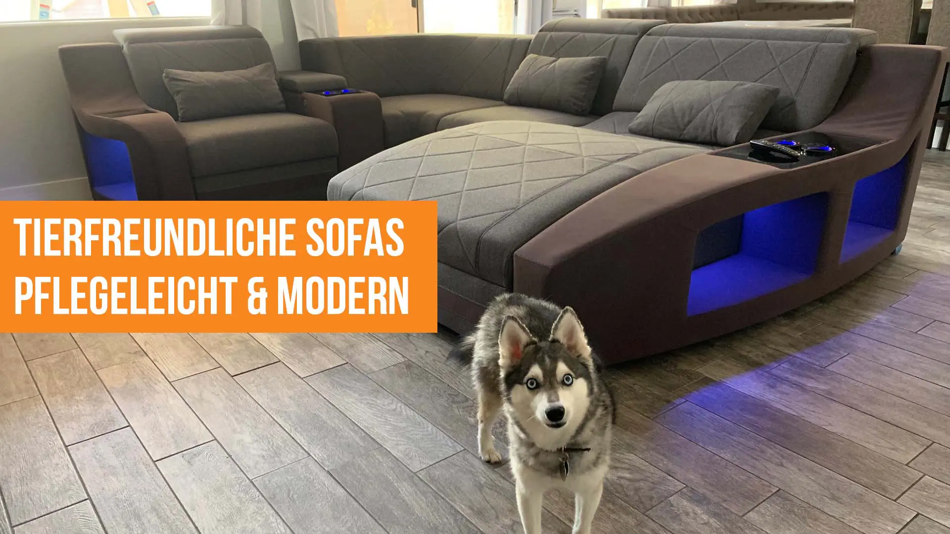 Haustierfreundliche Sofas - Pflegeleicht und Modern